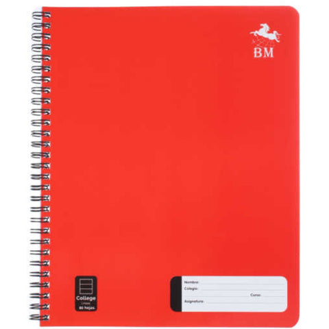 Cuaderno Universitario de Líneas con Encuadernación Grapada - 25 x 21 cm, 80 Páginas