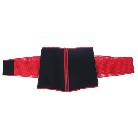 Faja Lumbar Ajustable de Soporte para la Espalda Baja