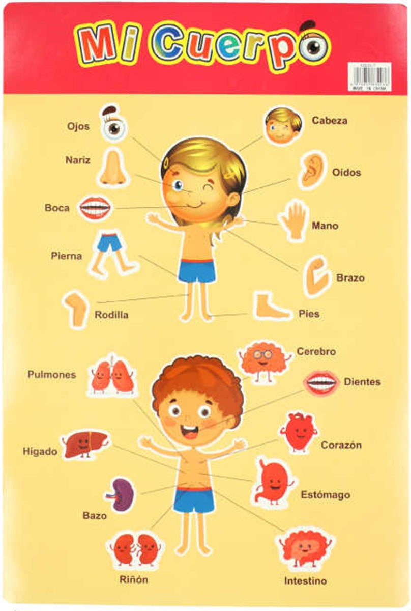 Poster Educativo Para Niños