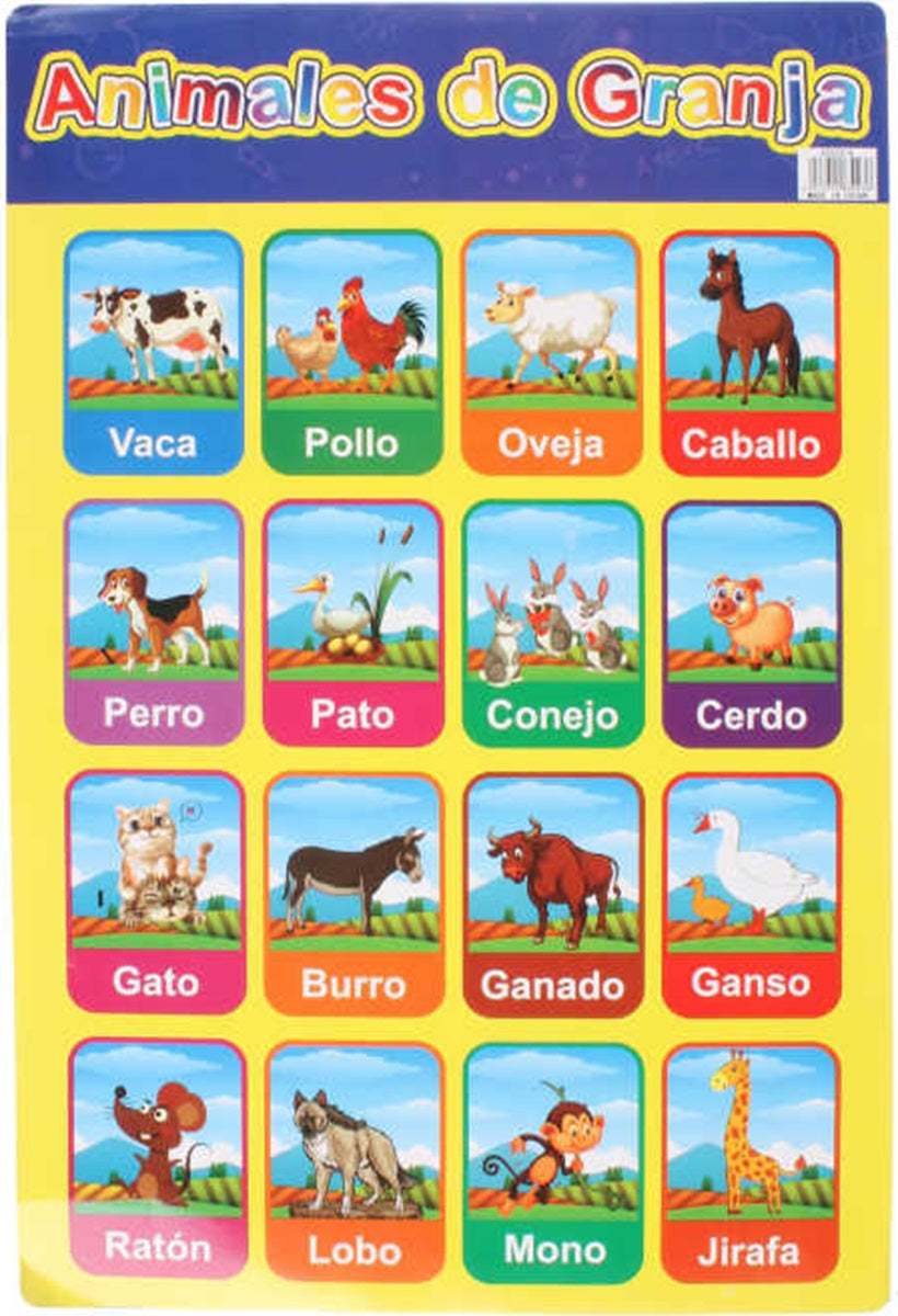 Poster Educativo Para Niños