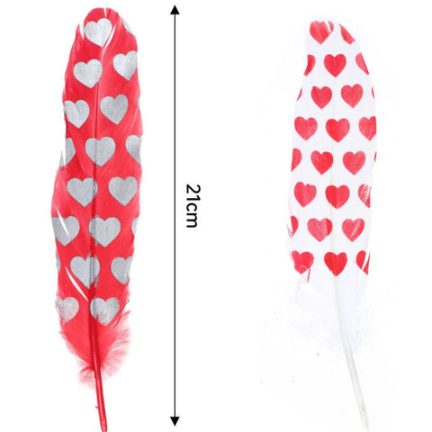 Paquete de 10 Plumas con Diseño de Corazón de 15-17 cm en Colores Variados